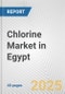 Chlorine Market in Egypt: 2019-2024 Review and Forecast to 2029 - Product Thumbnail Image