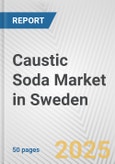 Caustic Soda Market in Sweden: 2019-2024 Review and Forecast to 2029- Product Image