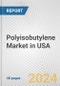 Polyisobutylene Market in USA: 2017-2023 Review and Forecast to 2027 - Product Thumbnail Image