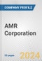 AMR Corporation Fundamental Company Report Including Financial, SWOT, Competitors and Industry Analysis - Product Thumbnail Image