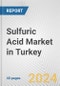 Sulfuric Acid Market in Turkey: 2017-2023 Review and Forecast to 2027 - Product Image