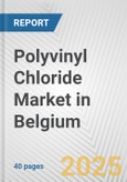 Polyvinyl Chloride Market in Belgium: 2019-2024 Review and Forecast to 2029- Product Image
