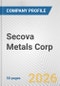 Secova Metals Corp. Fundamental Company Report Including Financial, SWOT, Competitors and Industry Analysis - Product Thumbnail Image