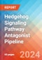 Hedgehog Signaling Pathway Antagonist - Pipeline Insight, 2024 - Product Image