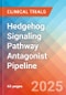 Hedgehog Signaling Pathway Antagonist - Pipeline Insight, 2024 - Product Image