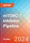 mTORC-1 Inhibitor - Pipeline Insight, 2022 - Product Thumbnail Image
