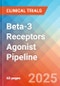 Beta-3 Receptors Agonist - Pipeline Insight, 2024 - Product Image