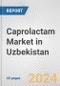 Caprolactam Market in Uzbekistan: 2017-2023 Review and Forecast to 2027 - Product Image