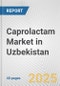 Caprolactam Market in Uzbekistan: 2017-2023 Review and Forecast to 2027 - Product Image