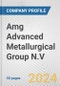 Amg Advanced Metallurgical Group N.V. Fundamental Company Report Including Financial, SWOT, Competitors and Industry Analysis - Product Thumbnail Image