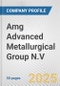 Amg Advanced Metallurgical Group N.V. Fundamental Company Report Including Financial, SWOT, Competitors and Industry Analysis - Product Thumbnail Image