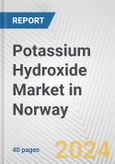 Potassium Hydroxide Market in Norway: 2017-2023 Review and Forecast to 2027- Product Image