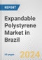 Expandable Polystyrene Market in Brazil: 2015-2021 Review and Forecast to 2025 (with COVID-19 Impact Estimation) - Product Thumbnail Image