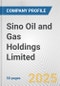 Sino Oil and Gas Holdings Limited Fundamental Company Report Including Financial, SWOT, Competitors and Industry Analysis - Product Thumbnail Image