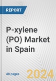 P-xylene (PO) Market in Spain: 2016-2022 Review and Forecast to 2026- Product Image