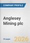 Anglesey Mining plc Fundamental Company Report Including Financial, SWOT, Competitors and Industry Analysis - Product Thumbnail Image