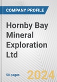 Hornby Bay Mineral Exploration Ltd. Fundamental Company Report Including Financial, SWOT, Competitors and Industry Analysis- Product Image