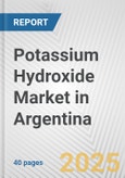 Potassium Hydroxide Market in Argentina: 2019-2024 Review and Forecast to 2029- Product Image