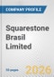 Squarestone Brasil Limited Fundamental Company Report Including Financial, SWOT, Competitors and Industry Analysis - Product Thumbnail Image