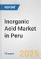Inorganic Acid Market in Peru: Business Report 2025 - Product Thumbnail Image