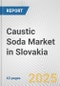 Caustic Soda Market in Slovakia: 2019-2024 Review and Forecast to 2029 - Product Thumbnail Image