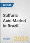 Sulfuric Acid Market in Brazil: 2017-2023 Review and Forecast to 2027 - Product Thumbnail Image