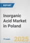 Inorganic Acid Market in Poland: Business Report 2024 - Product Thumbnail Image