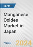 Manganese Oxides Market in Japan: Business Report 2024- Product Image