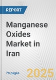 Manganese Oxides Market in Iran: Business Report 2025- Product Image