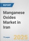 Manganese Oxides Market in Iran: Business Report 2025 - Product Thumbnail Image