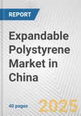 Expandable Polystyrene Market in China: 2019-2024 Review and Forecast to 2029- Product Image