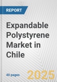Expandable Polystyrene Market in Chile: 2019-2024 Review and Forecast to 2029- Product Image