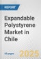 Expandable Polystyrene Market in Chile: 2019-2024 Review and Forecast to 2029 - Product Thumbnail Image