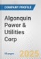 Algonquin Power & Utilities Corp. Fundamental Company Report Including Financial, SWOT, Competitors and Industry Analysis - Product Thumbnail Image