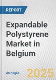 Expandable Polystyrene Market in Belgium: 2019-2024 Review and Forecast to 2029- Product Image