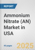 Ammonium Nitrate (AN) Market in USA: 2019-2024 Review and Forecast to 2029- Product Image
