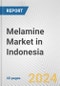 Melamine Market in Indonesia: 2016-2022 Review and Forecast to 2026 - Product Thumbnail Image
