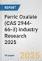 Ferric Oxalate (CAS 2944-66-3) Industry Research 2025: Global and Regional Market Trends 2019-2024 and Forecast to 2029 - Product Image