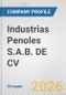 Industrias Penoles S.A.B. DE CV Fundamental Company Report Including Financial, SWOT, Competitors and Industry Analysis - Product Thumbnail Image