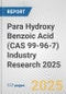 Para Hydroxy Benzoic Acid (CAS 99-96-7) Industry Research 2025: Global and Regional Market Trends 2019-2024 and Forecast to 2029 - Product Image