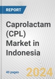 Caprolactam (CPL) Market in Indonesia: 2016-2022 Review and Forecast to 2026- Product Image