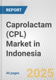 Caprolactam (CPL) Market in Indonesia: 2017-2023 Review and Forecast to 2027- Product Image