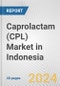 Caprolactam (CPL) Market in Indonesia: 2015-2021 Review and Forecast to 2025 (with COVID-19 Impact Estimation) - Product Image