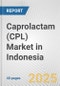 Caprolactam (CPL) Market in Indonesia: 2017-2023 Review and Forecast to 2027 - Product Image