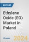 Ethylene Oxide (EO) Market in Poland: 2017-2023 Review and Forecast to 2027 - Product Thumbnail Image