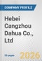 Hebei Cangzhou Dahua Co., Ltd. Fundamental Company Report Including Financial, SWOT, Competitors and Industry Analysis - Product Thumbnail Image