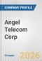 Angel Telecom Corp. Fundamental Company Report Including Financial, SWOT, Competitors and Industry Analysis - Product Thumbnail Image