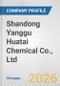Shandong Yanggu Huatai Chemical Co., Ltd. Fundamental Company Report Including Financial, SWOT, Competitors and Industry Analysis - Product Thumbnail Image