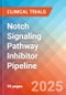 Notch Signaling Pathway Inhibitor - Pipeline Insight, 2024 - Product Image