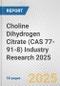 Choline Dihydrogen Citrate (CAS 77-91-8) Industry Research 2025: Global and Regional Market Trends 2019-2024 and Forecast to 2029 - Product Thumbnail Image